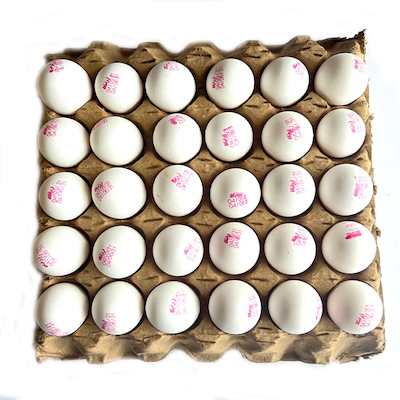 تخم مرغ معمولی درشت